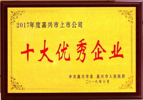 嘉興市(shi)上市(shi)公(gōng)司十大(da)優(you)秀齊(qi)業